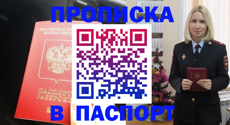 временная регистрация надежно в Камчатской области