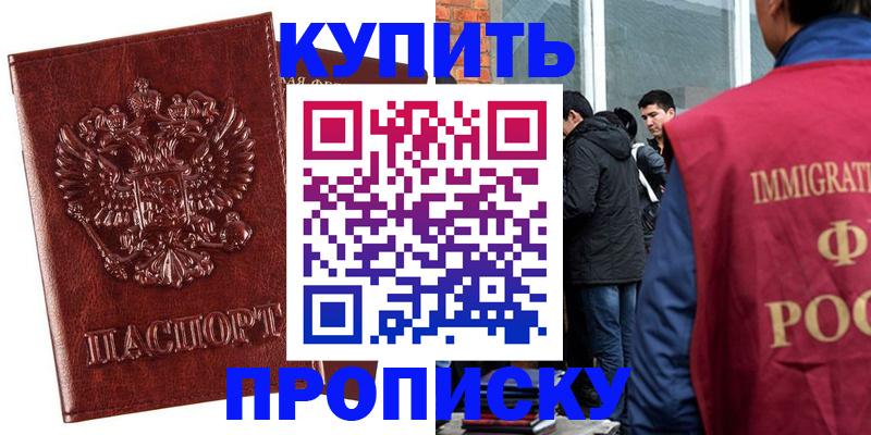 прописка для школы в Камчатской области